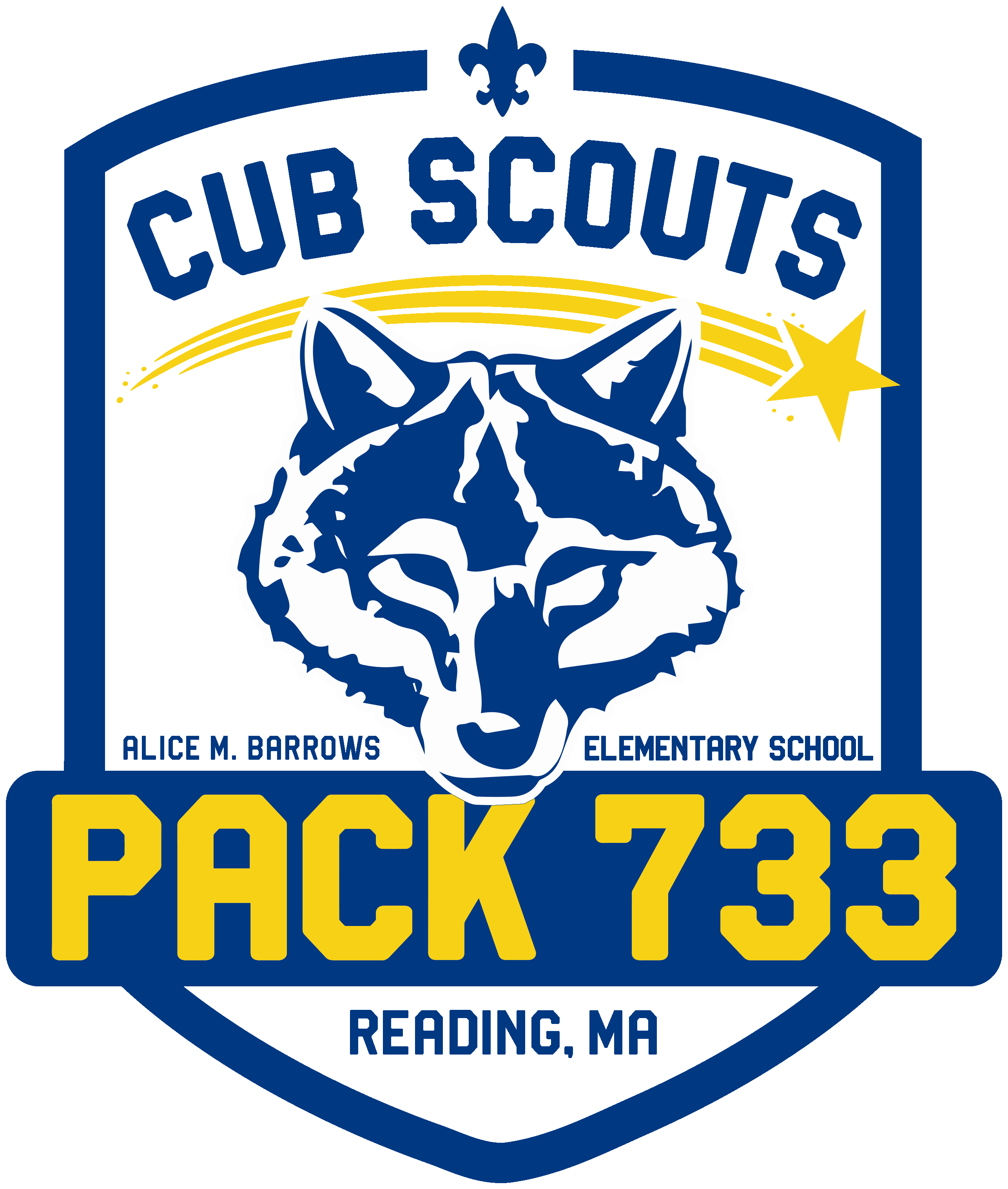 Cub Scout Pack 733